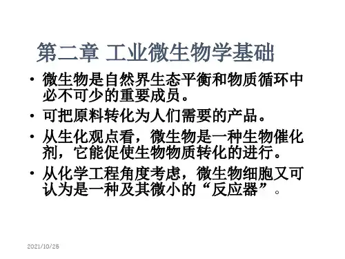 第二章 工业微生物学基础