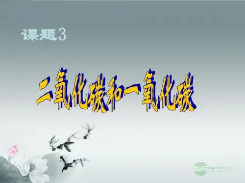 河南省郸城县光明中学九年级化学上册 第6单元 碳与碳的氧化物 二氧化碳和一氧化碳性质教学课件 新人教版
