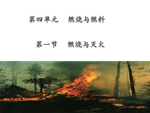 化学:4.1《燃烧与灭火》课件(1)(鲁教版九年级)