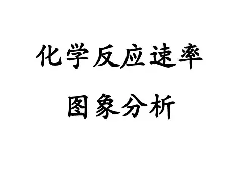 化学反应速率图象分析(高三 一轮)