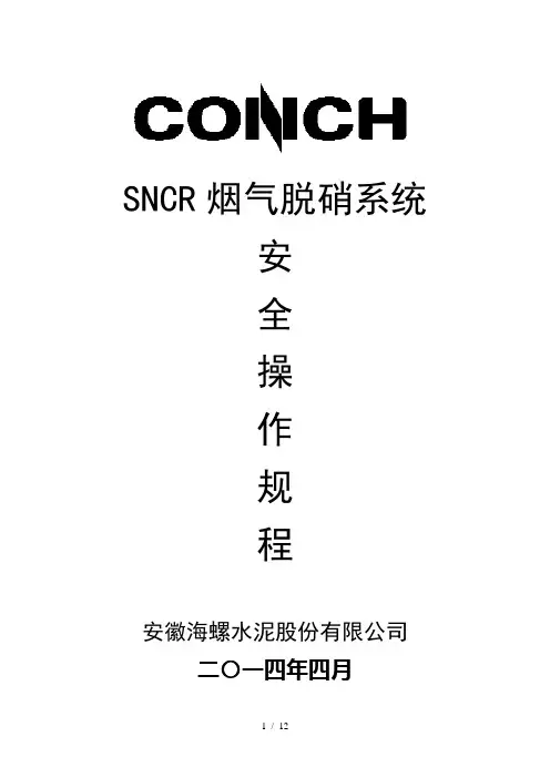 SNCR烟气脱硝系统安全操作规程
