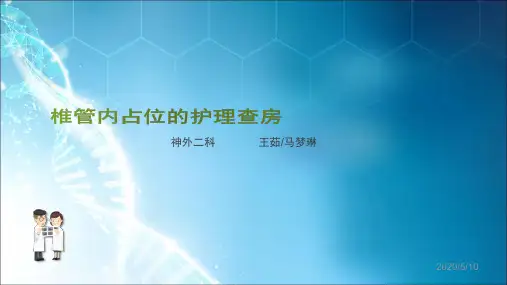 椎管内占位ppt课件
