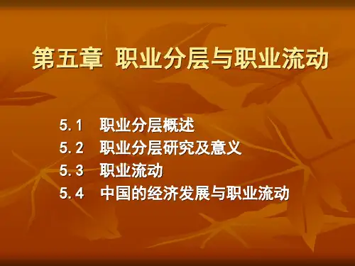 职业分层与职业流动