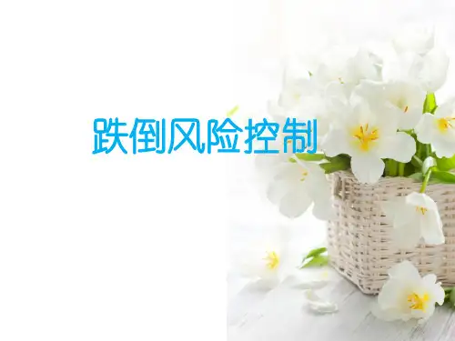 跌倒风险控制(PPT60页)