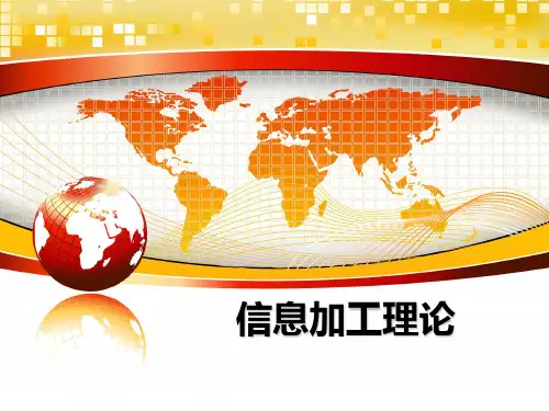 【精编】信息加工理论PPT课件