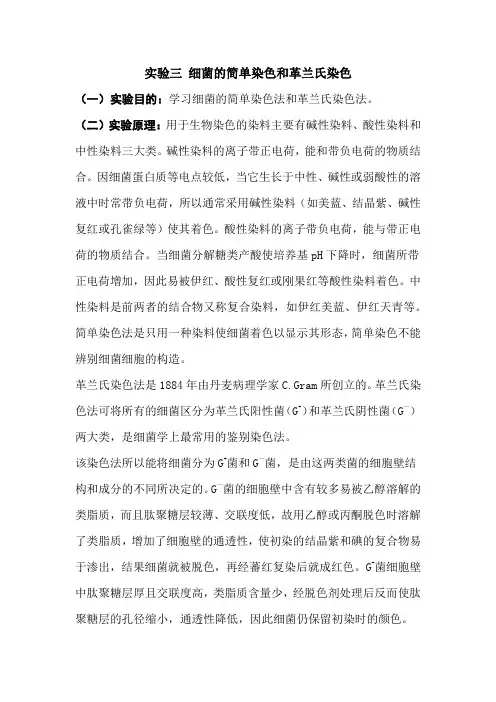 实验三 细菌的简单染色和革兰氏染色