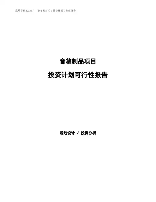 音箱制品项目投资计划可行性报告(模板参考范文)
