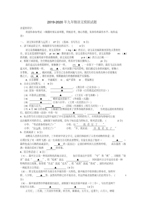 2019-2020年九年级语文模拟试题