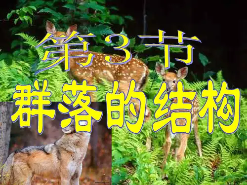 第三节群落的结构PPT课件