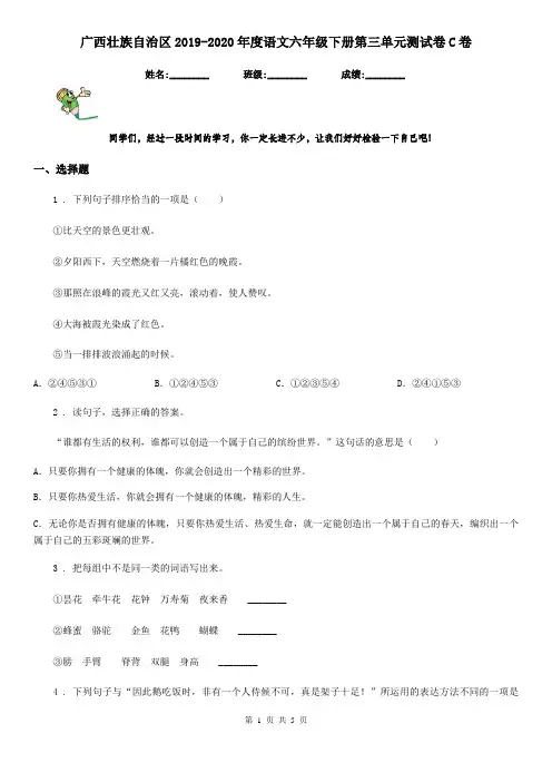 广西壮族自治区2019-2020年度语文六年级下册第三单元测试卷C卷