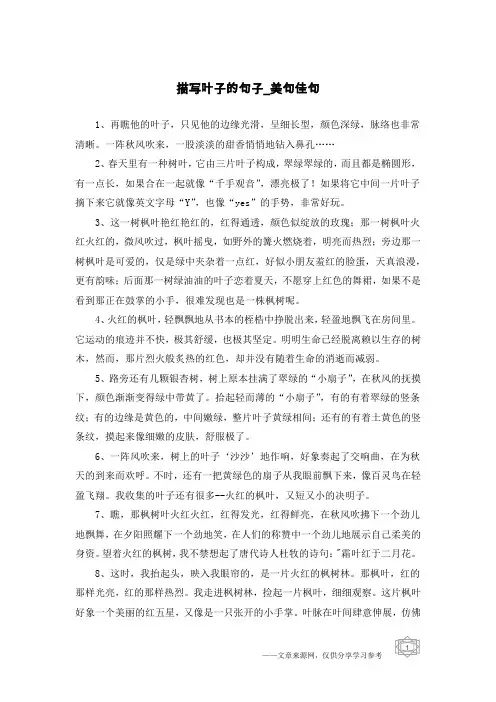 描写叶子的句子-美句佳句