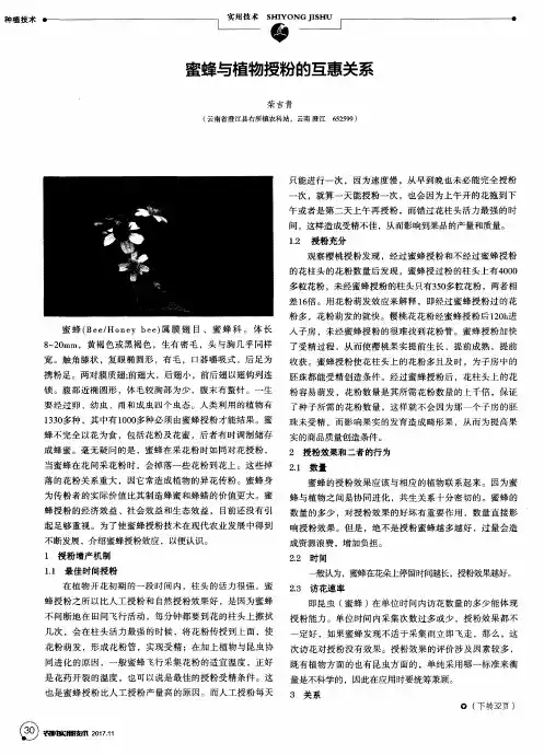 蜜蜂与植物授粉的互惠关系