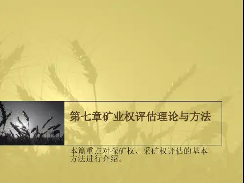 第七章矿业权评估理论与方法