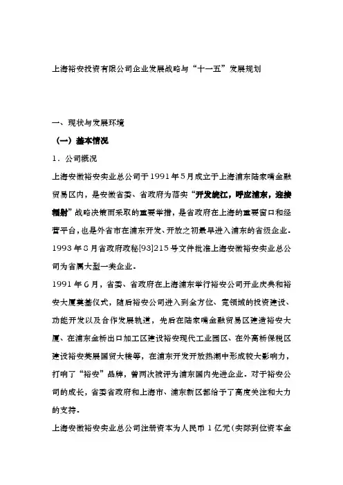 某投资公司企业发展战略与发展规划报告