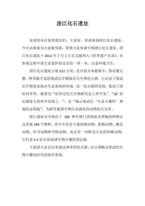 澄江化石遗址