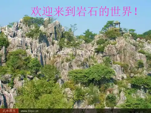 4土壤中有什么[1]精品PPT课件