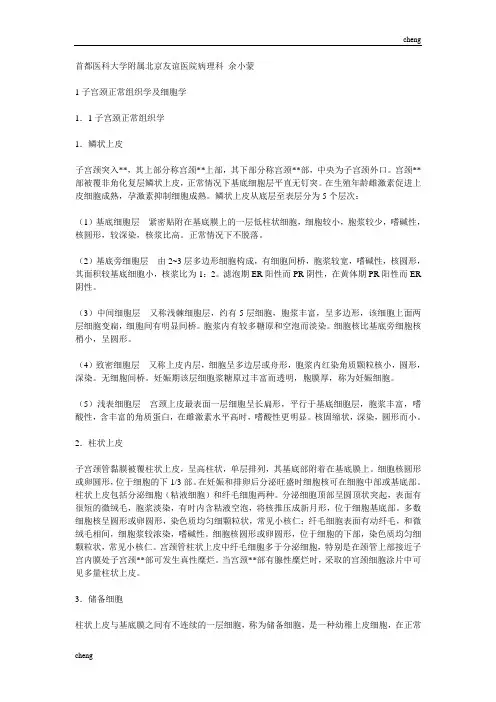 子宫颈正常组织机构学与细胞学