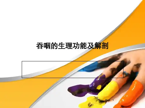 吞咽的生理功能及解剖PPT课件