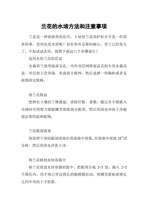 兰花的水培方法和注意事项