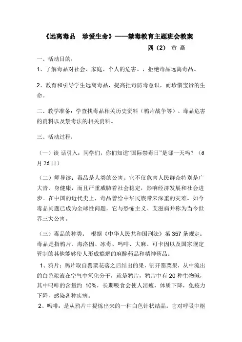小学禁毒教育主题班会教案
