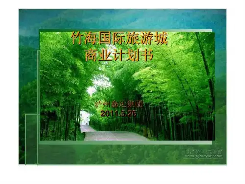2019年5月26日宜宾市竹海国际旅游城商业计划书