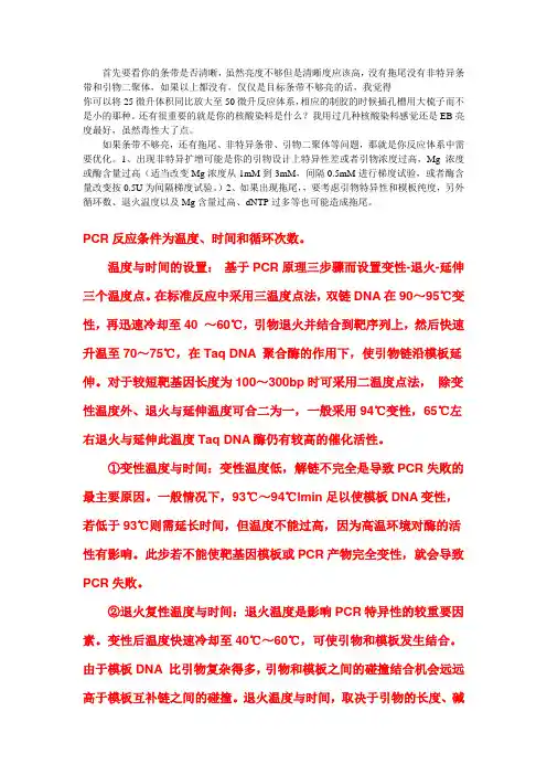 pcr条件选择