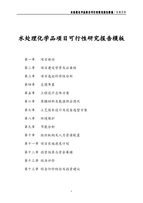 水处理化学品项目可行性研究报告模板