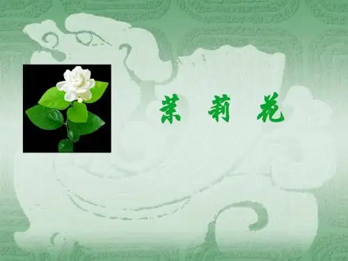 茉  莉  花   课件