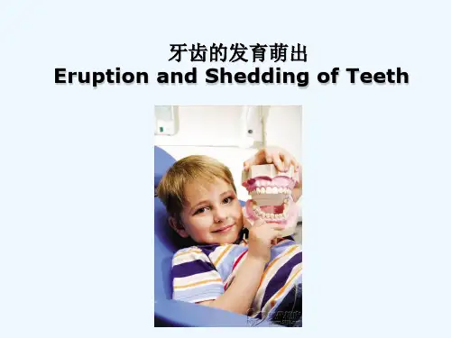 牙齿萌出 PPT