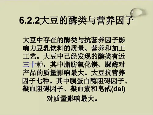 大豆的酶类和营养因子PPT课件( 18张)