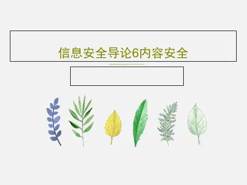 信息安全导论6内容安全共101页文档