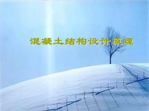 第三章 受变构件正截面承载力计算二