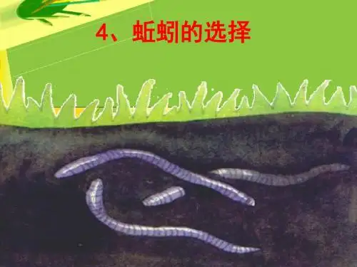 五年级科学上册第一单元蚯蚓的选择