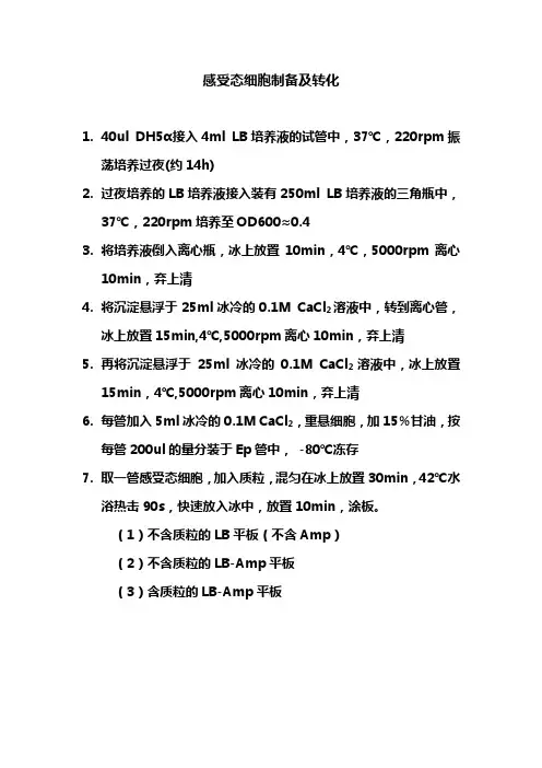 感受态细胞制备及转化