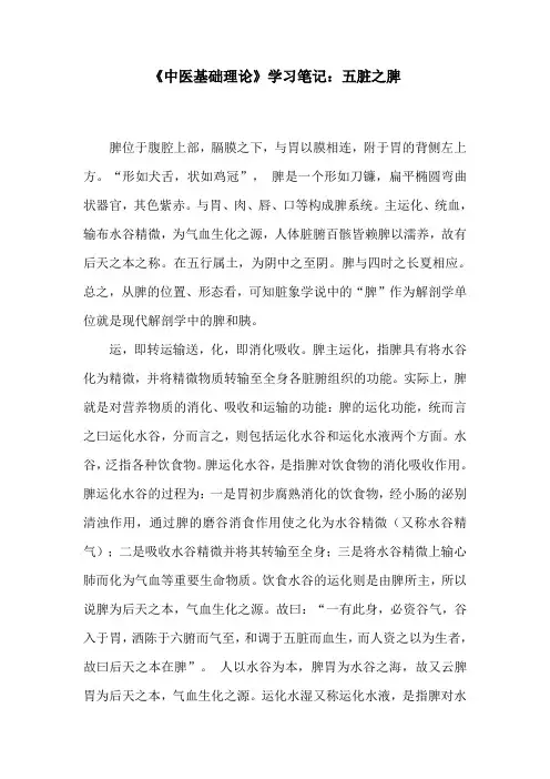 《中医基础理论》学习笔记：五脏之脾