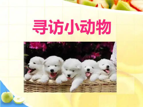 《寻访小动物》动物教材课件ppt