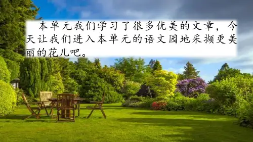部编版五年级语文上册语文园地七 ppt精美课件