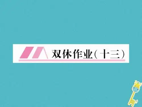 2018年九年级语文下册双休作业十三课件