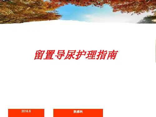 留置导尿护理指南