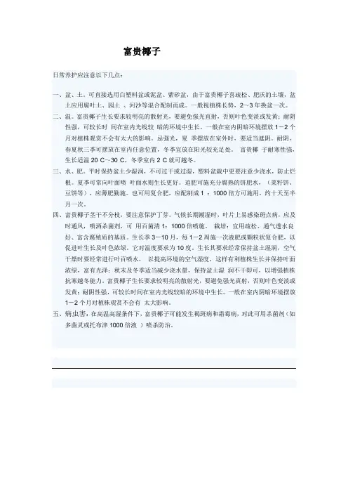 富贵椰子技术管理