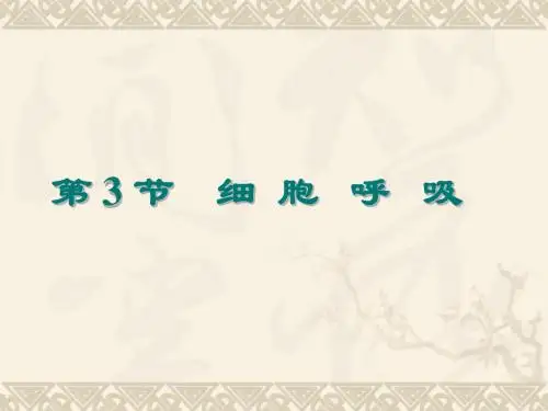 第四章 第3节 细胞呼吸