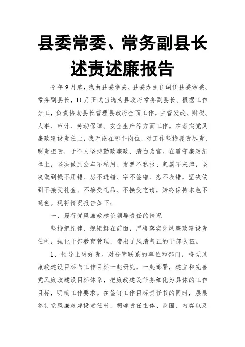 县委常委、常务副县长述责述廉报告