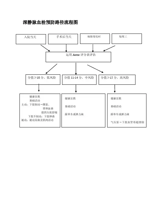 深静脉血栓预防流程