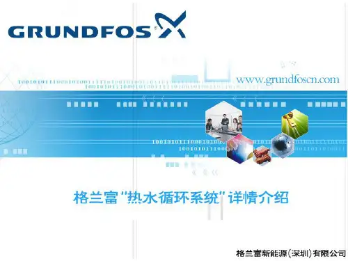 格兰富热水循环系统