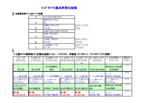 SAP命名介绍