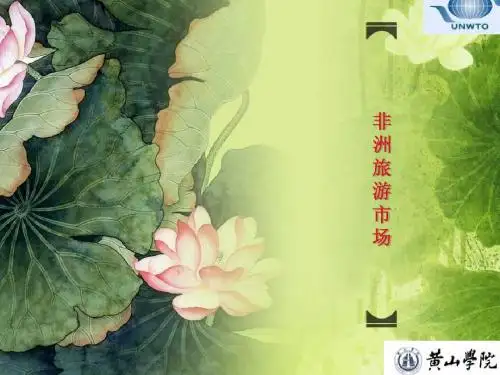 非洲市场