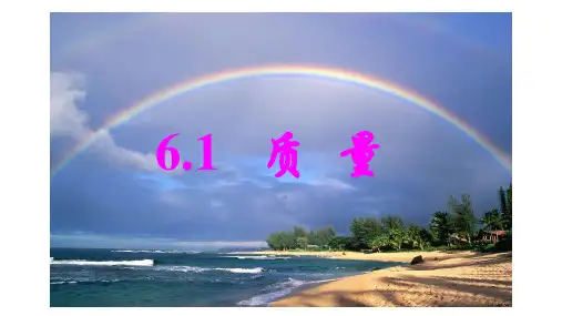 人教版物理八年级第六章第一节,质量PPT课件