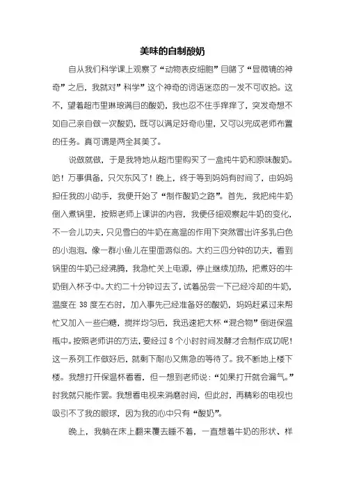 四年级作文：美味的自制酸奶作文