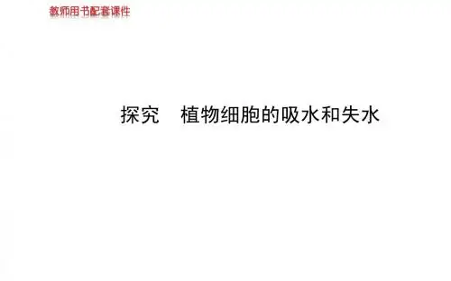 2014届高考生物全程复习必修1 第4章 探究