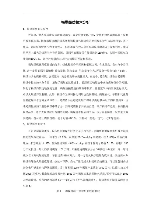 褐煤提质技术分析(DOC)